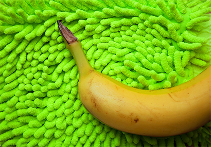 Photo of Bana on a lime fluffy duster